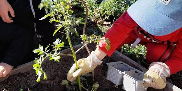 Immagine decorativa per il contenuto Servizio nido d’infanzia comunale: proroga dei termini di iscrizione 